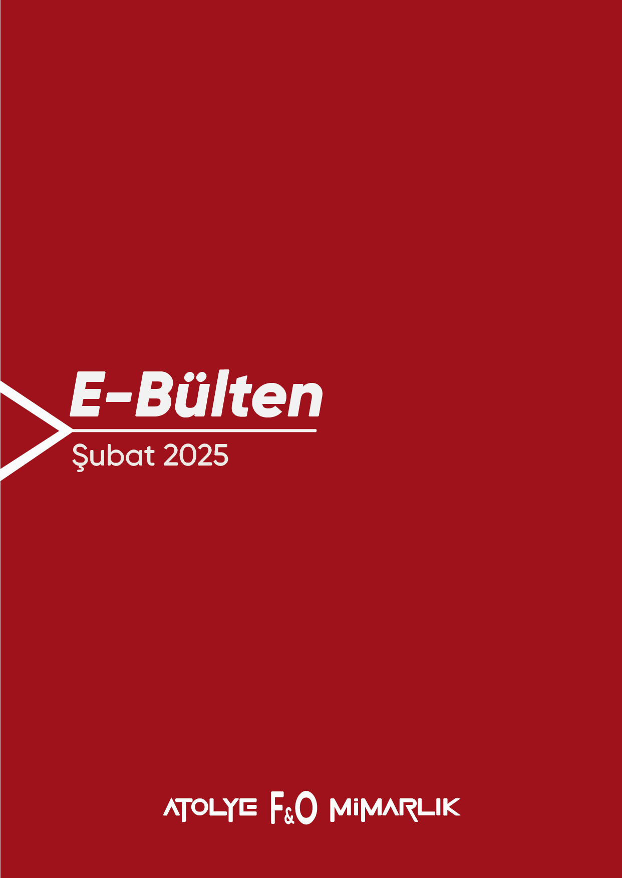 Bülten 2
